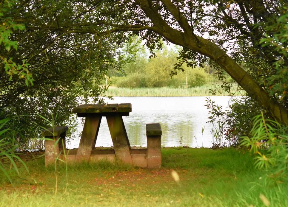 bench seating area next to lake