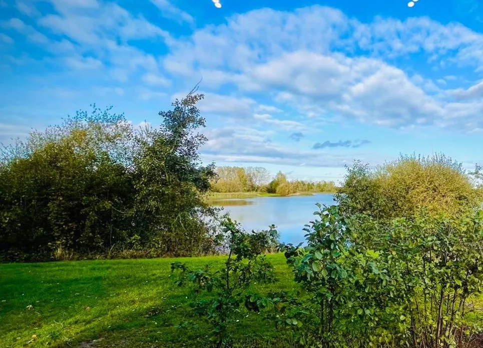 lakeside views from shepherds hut