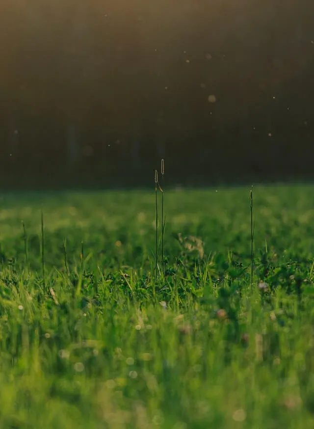 Awning Company Partnerships