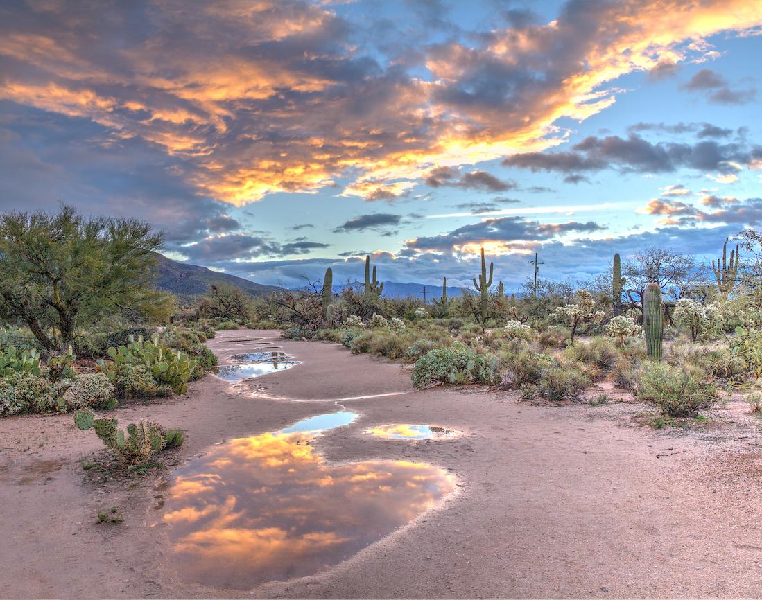 Arizona's Hidden Gems: Top Airbnb Investment Locations