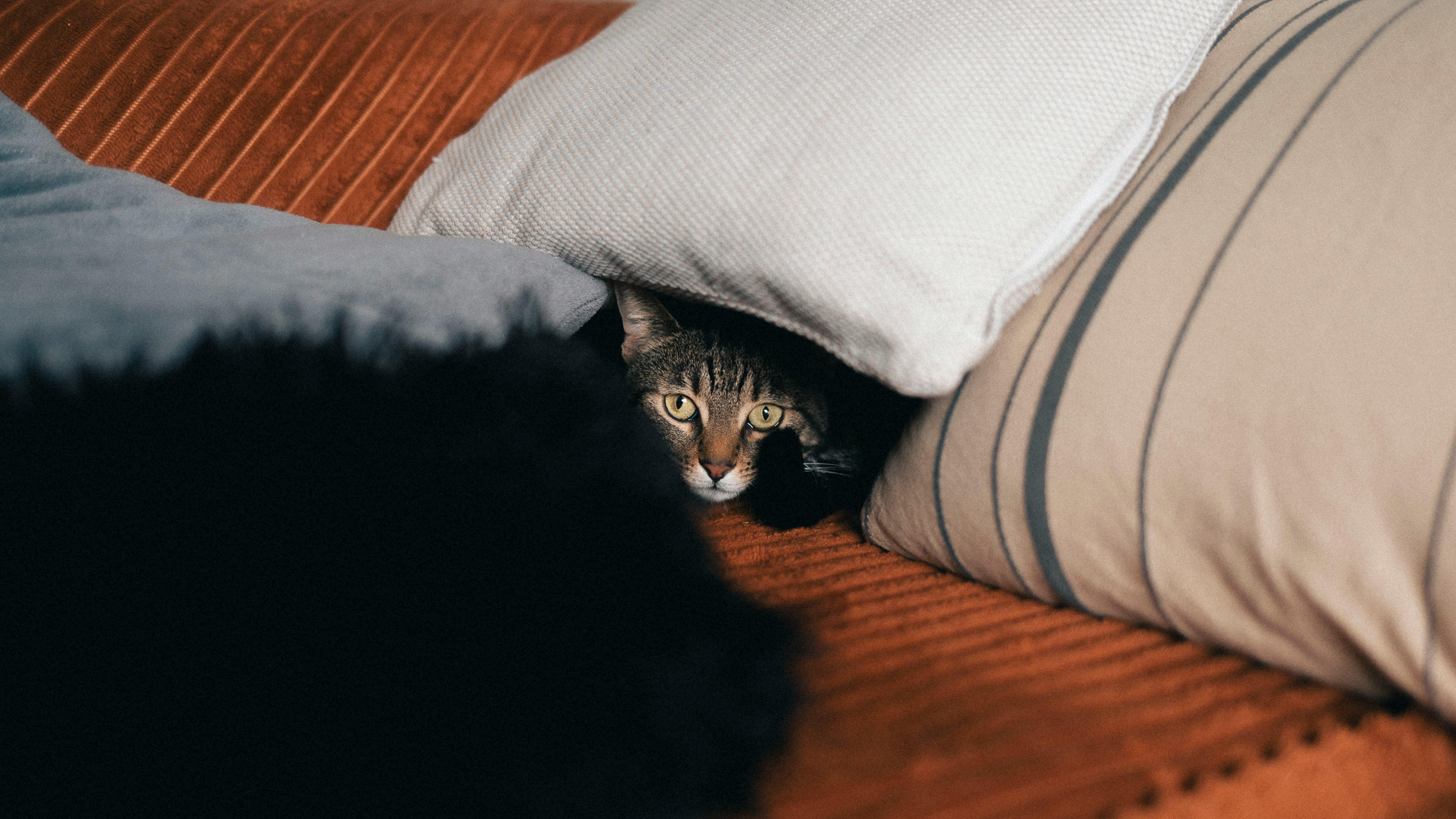 Airbnb Profit & Margin Benchmarks (2026): What “Good” Really Looks Like by Market Type