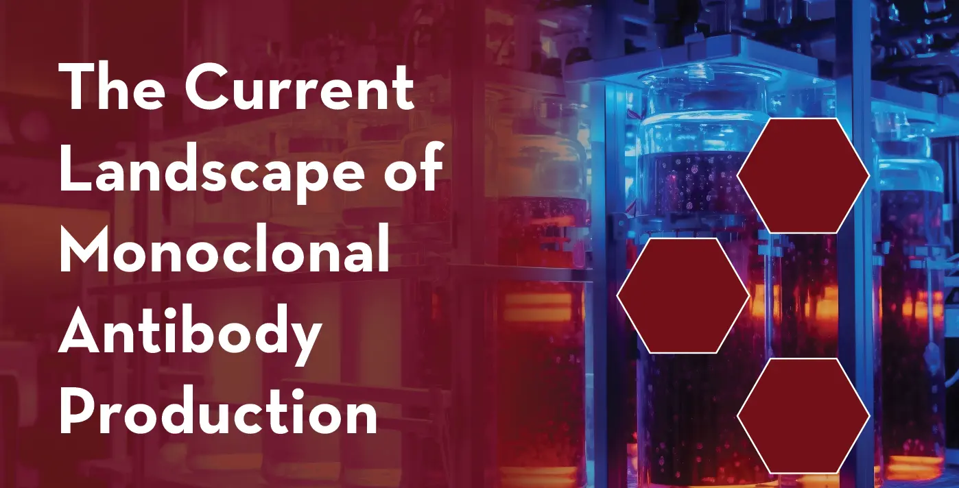 The Current Landscape of Monoclonal Antibody Production