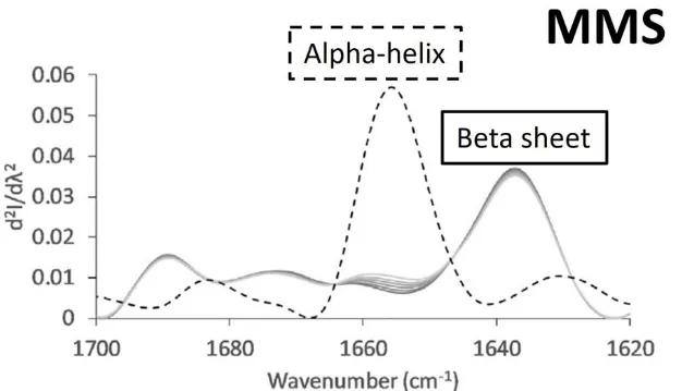 Alpha Helix