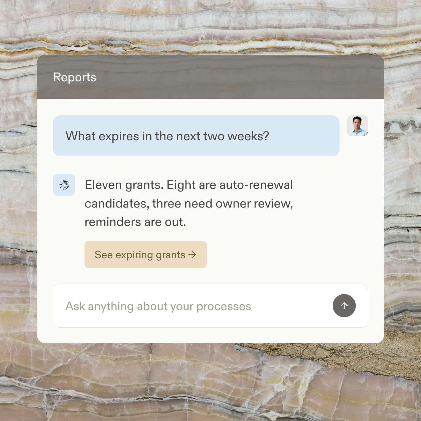 A reports chat answering which access requests are pending approval