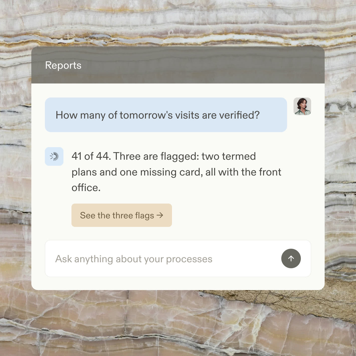 A reports chat answering how many of tomorrow's visits are verified