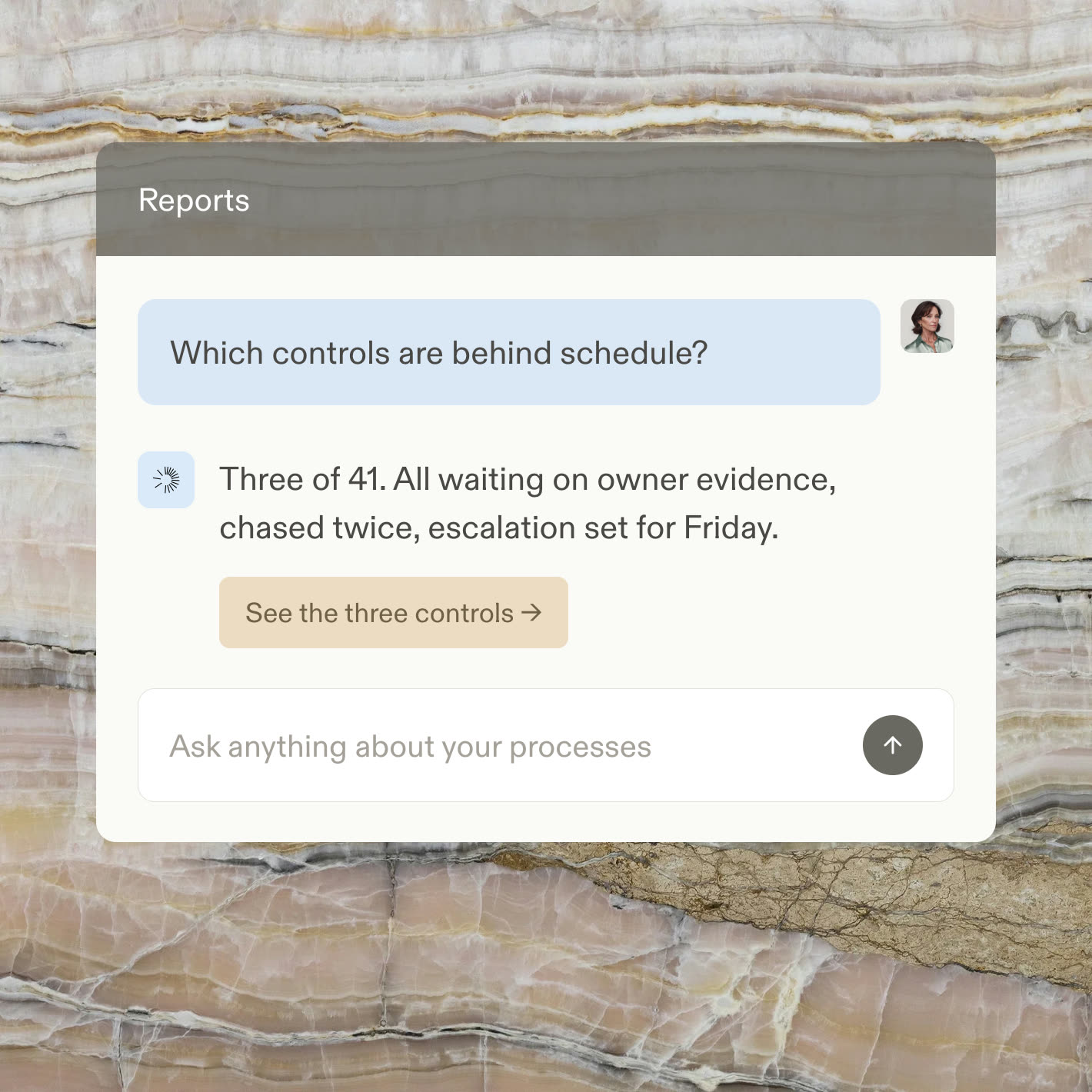 A reports chat answering which control tests are behind schedule