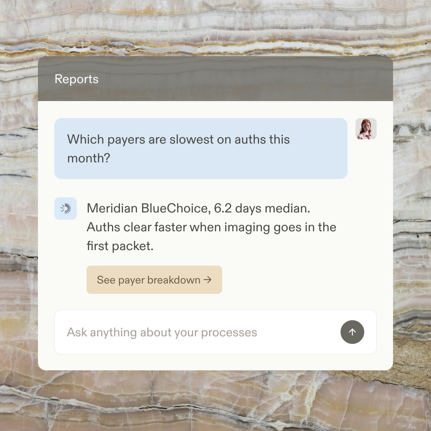 A reports chat answering which payers are slowest on prior auths