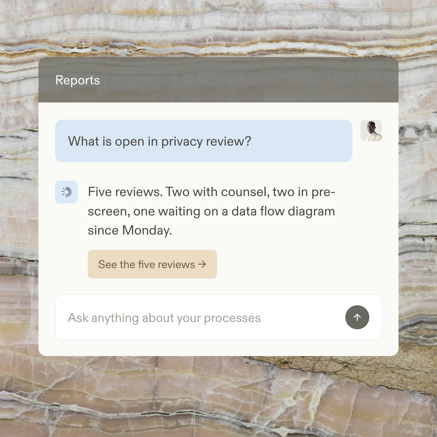 A reports chat answering which privacy reviews are open