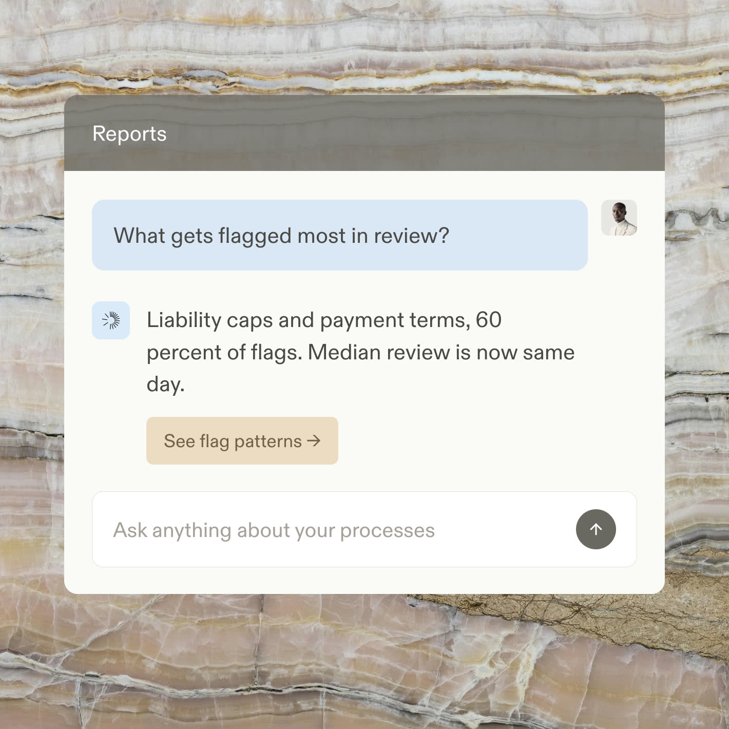 A reports chat answering what document types get flagged most