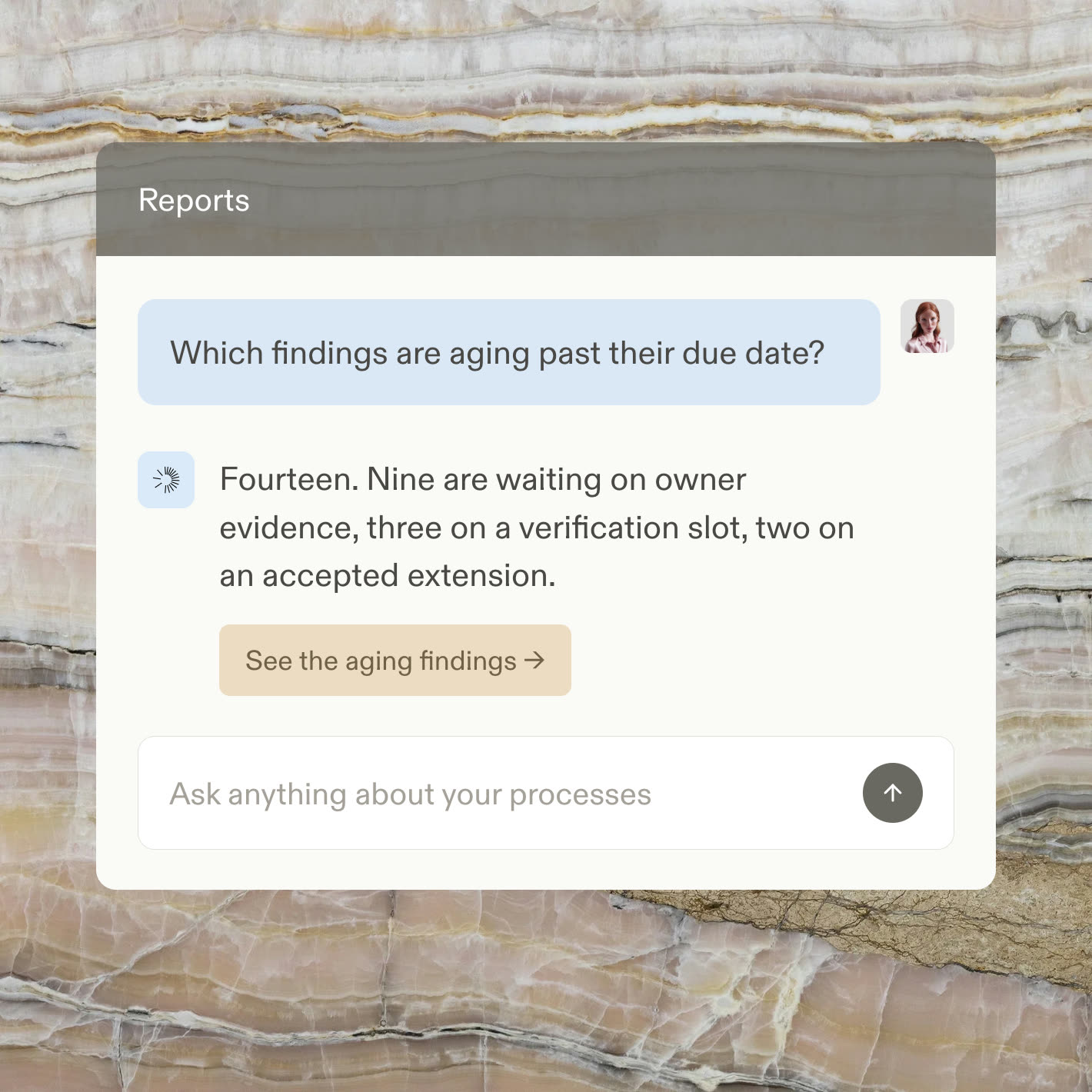 A reports chat answering which risk findings are aging past due