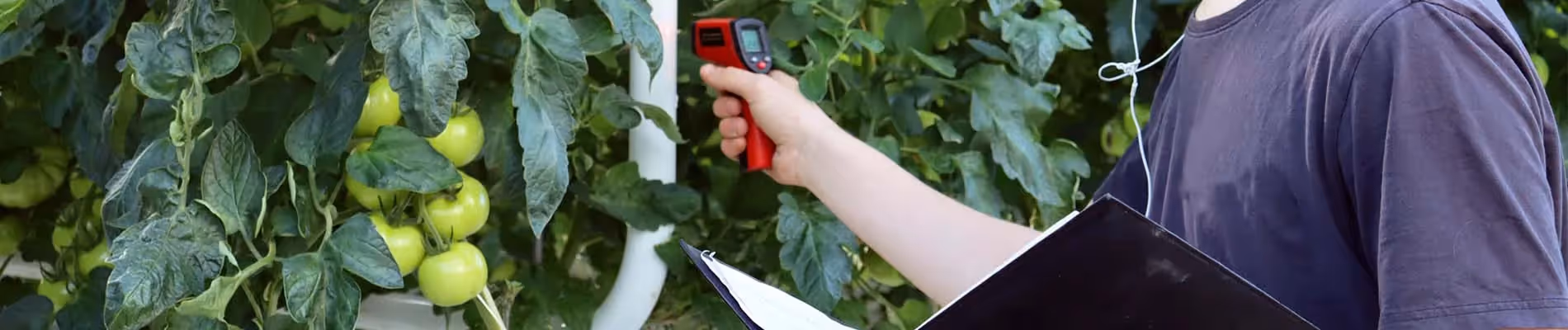 Implementatie van UWB in kasomgevingen