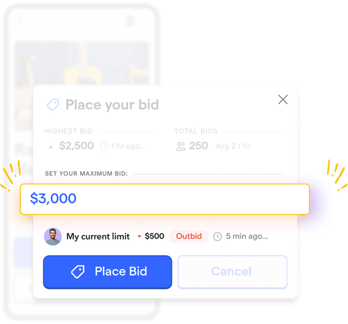 Screenshot of an auction item's maximum bid example