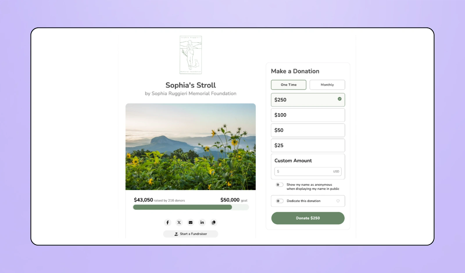 Screenshot of Give Lively fundraising page