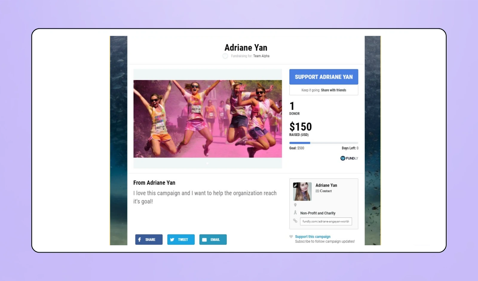 Screenshot of Fundly fundraising page