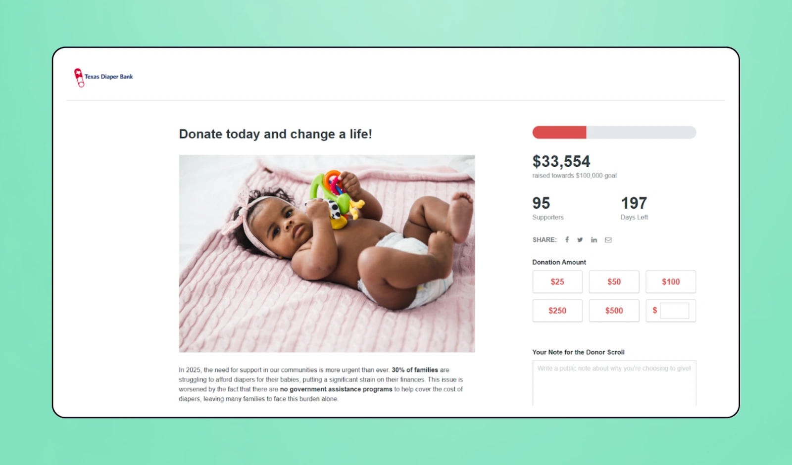 Screenshot of Bonterra fundraising page
