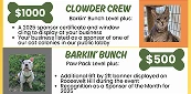 Pet Walk Sponsorship flyer