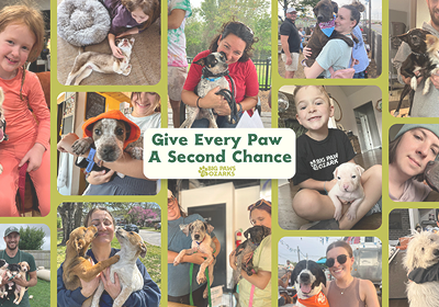 Give Every Paw a Second Chance flyer