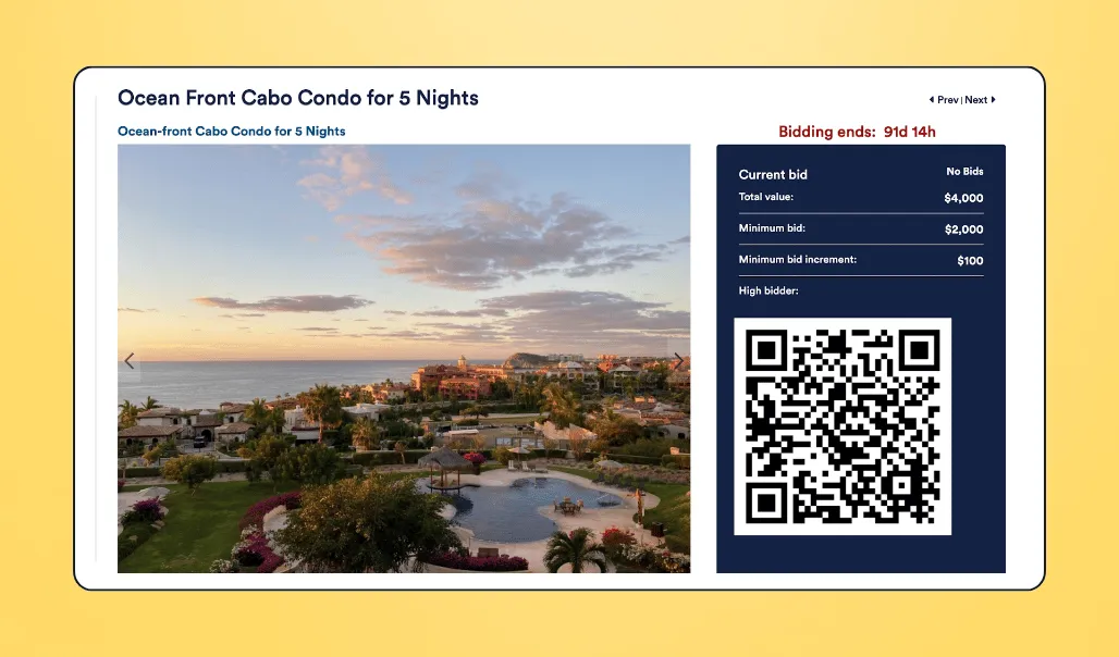 Screenshot of Silent Auction Pro software
