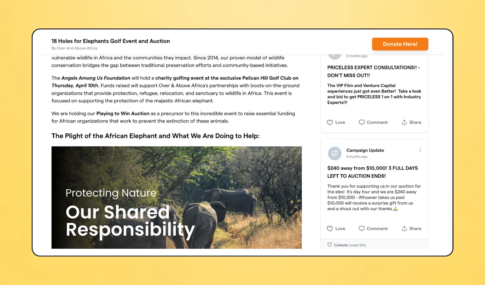 Screenshot of Over and Above Africa's campaign story on Givebutter