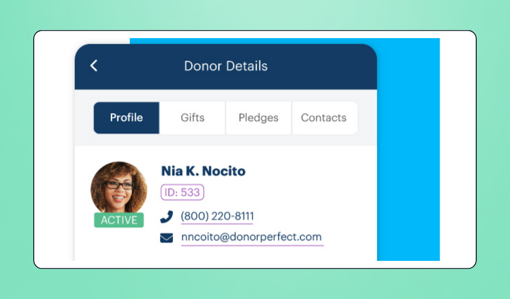 Screenshot of DonorPerfect's donor database interface