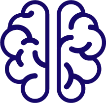Simple navy blue line drawing of a human brain with two hemispheres.