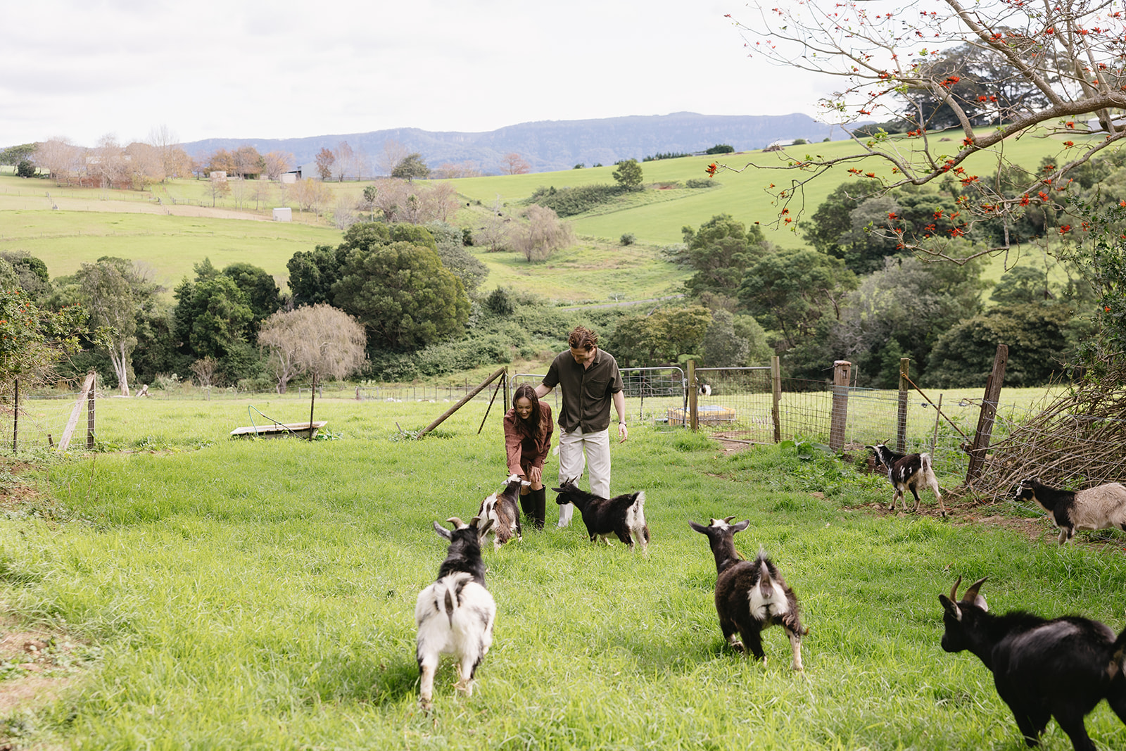 Why Countryside Escapes Encourage Better Rest and Reconnection