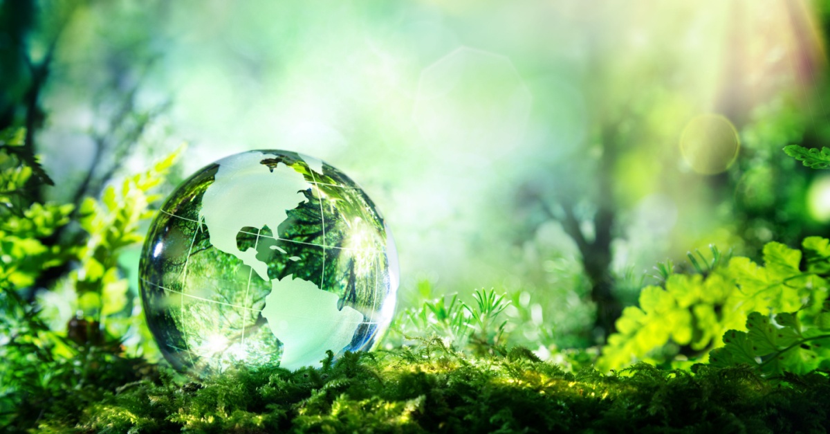 Earth Day 2025 Special: How Tive is Greening the Global Supply Chain—One Tree at a Time