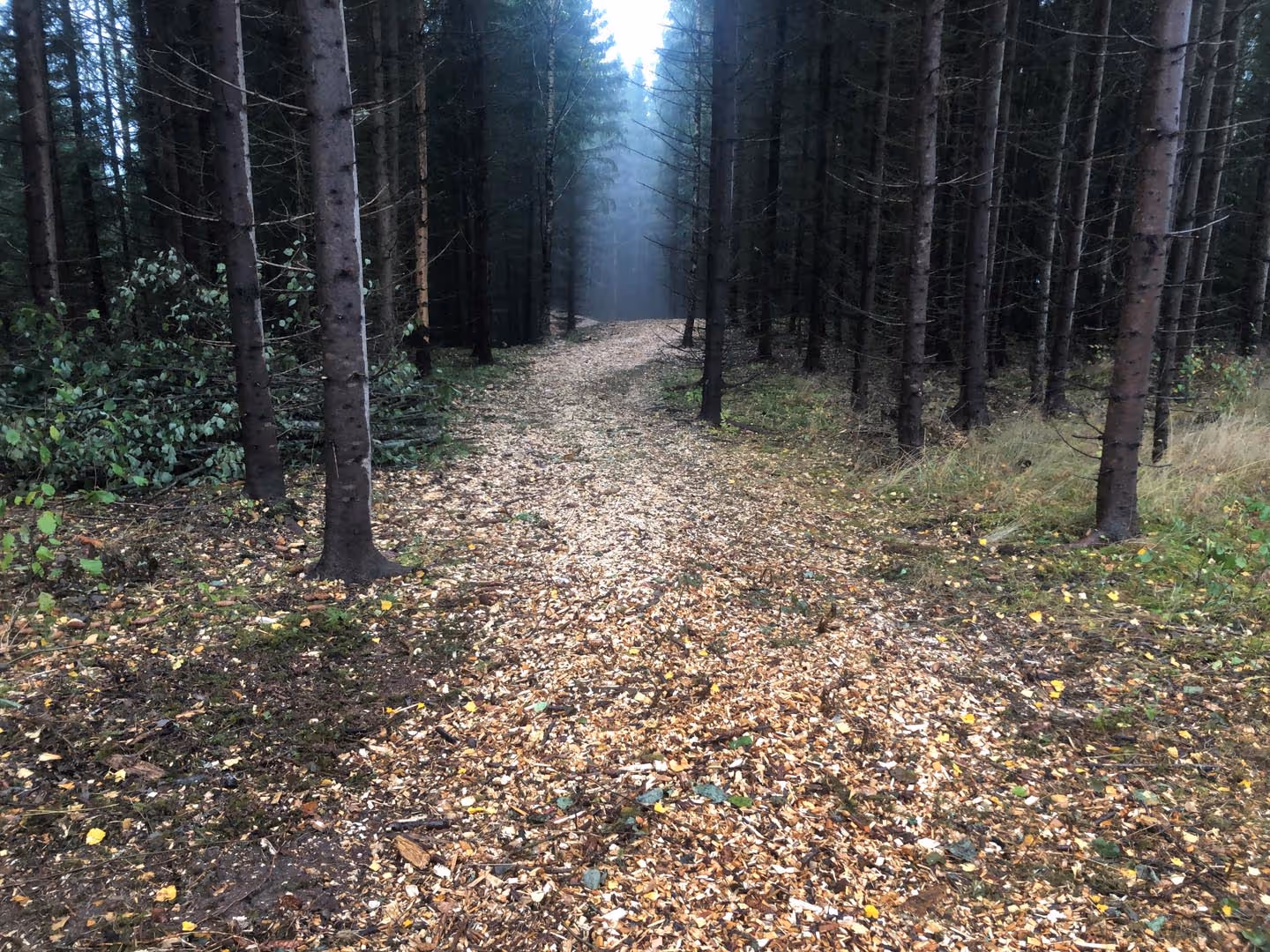 Jobb som utføres på Tanberghøgda.