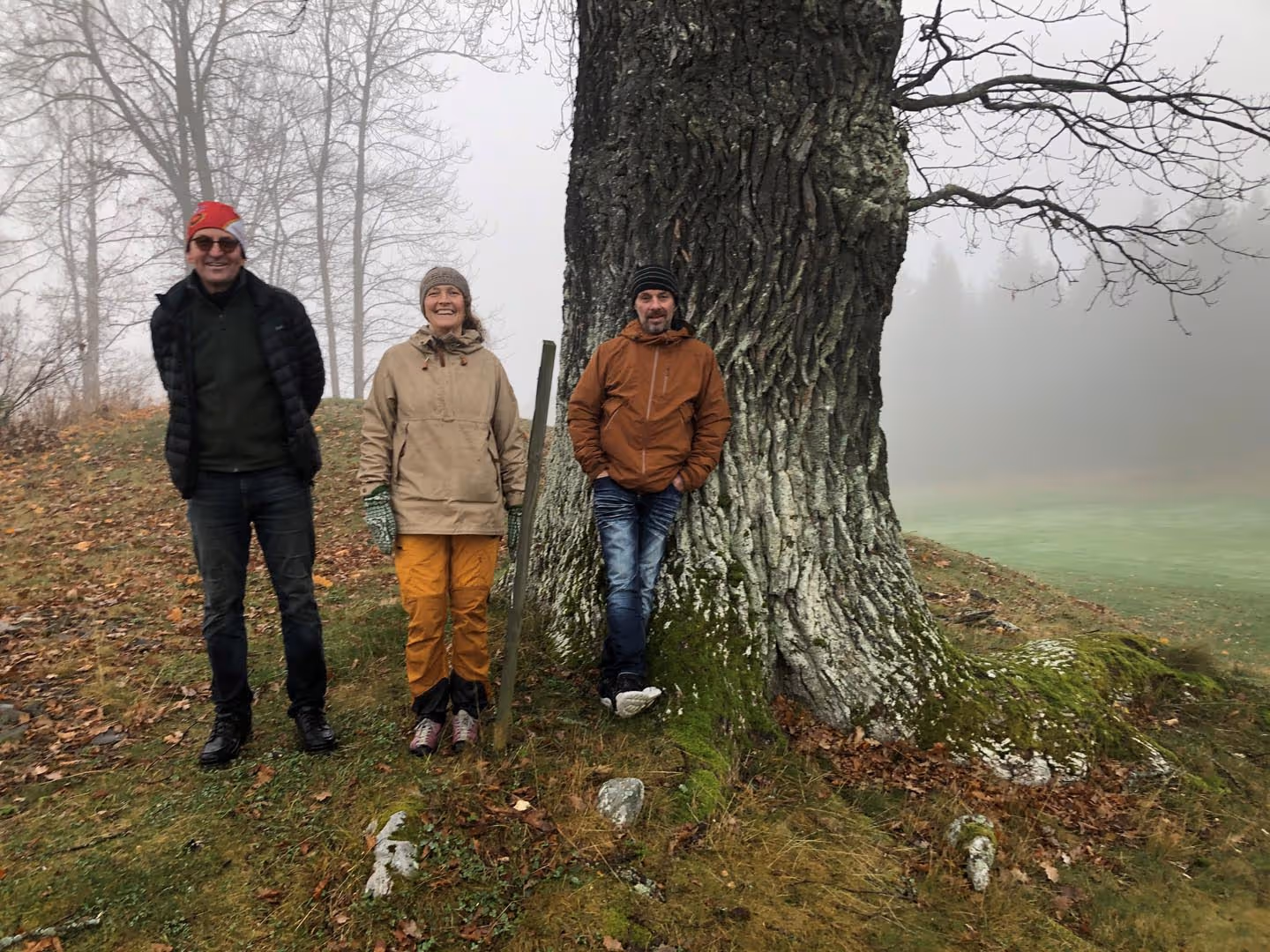 Prosjektbilde fra Storøya.