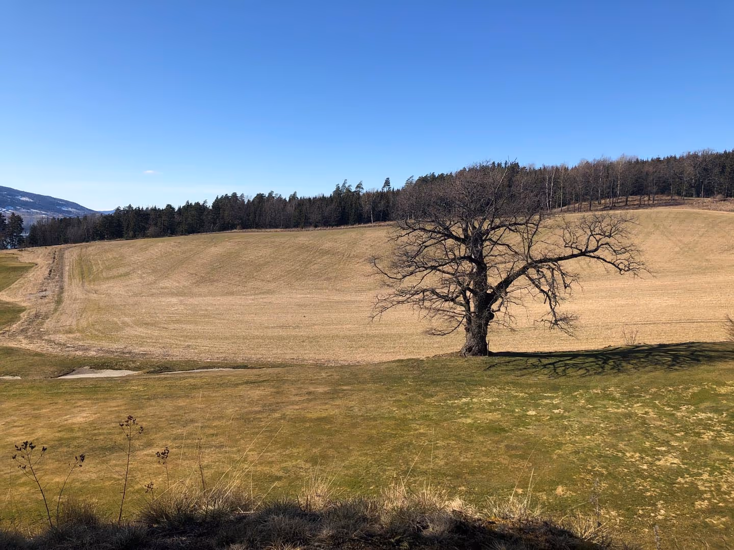 Prosjektbilde fra Storøya.