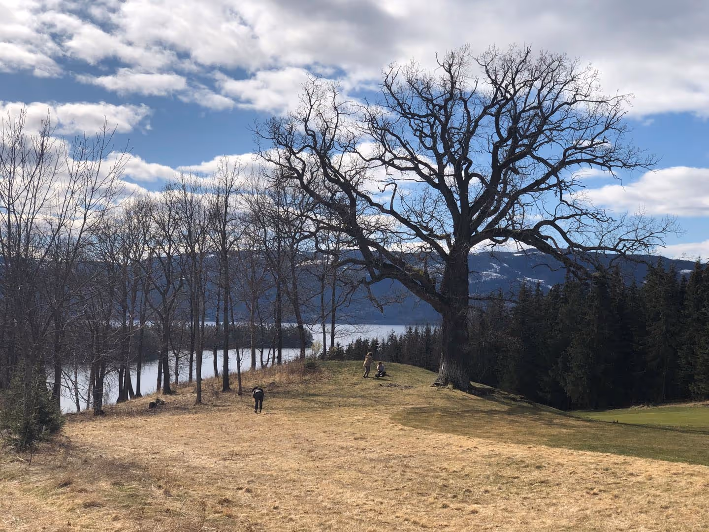 Prosjektbilde fra Storøya.