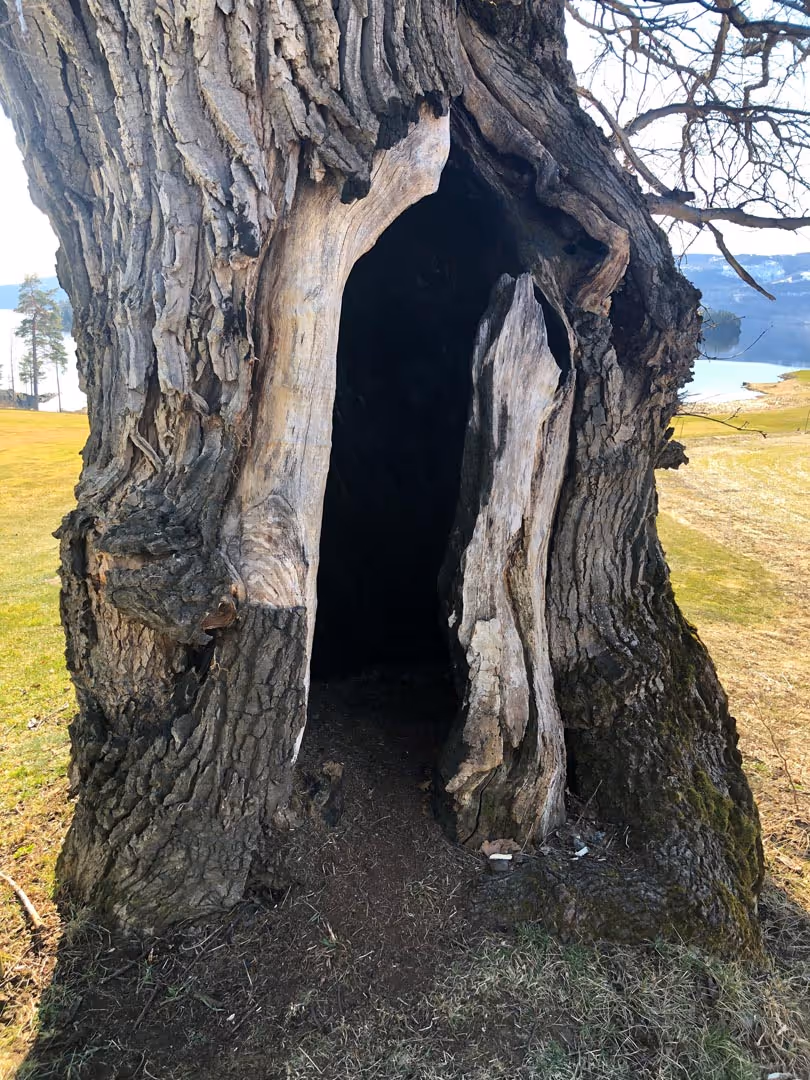 Prosjektbilde fra Storøya.