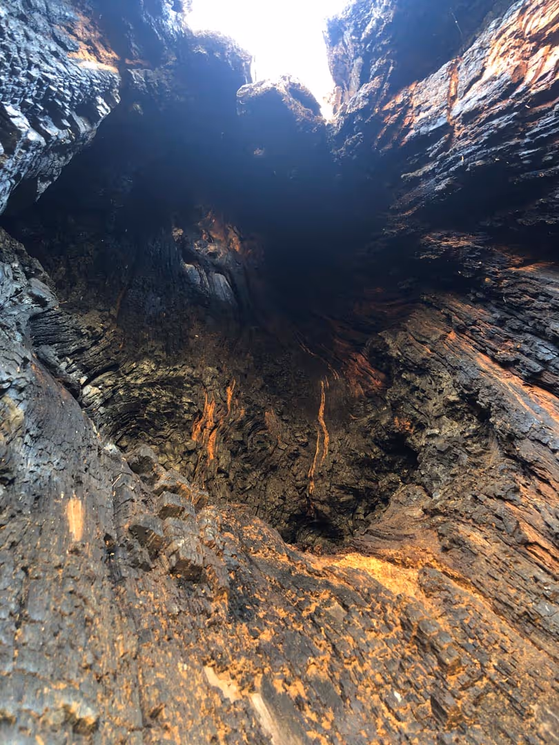 Prosjektbilde fra Storøya.