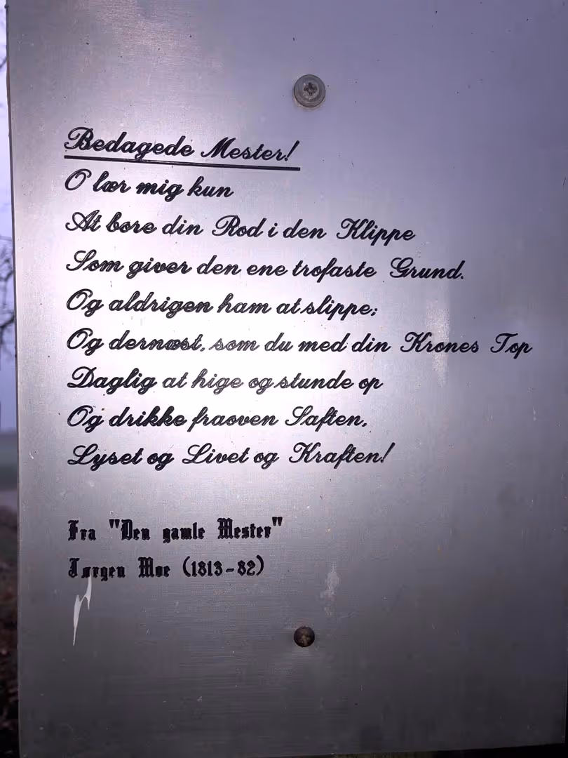 Prosjektbilde fra Storøya.