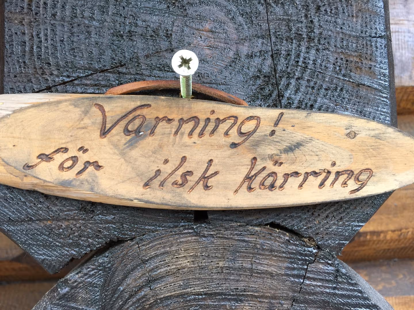Prosjektbilde fra Solskinnsmarka Tunhovdfjorden.