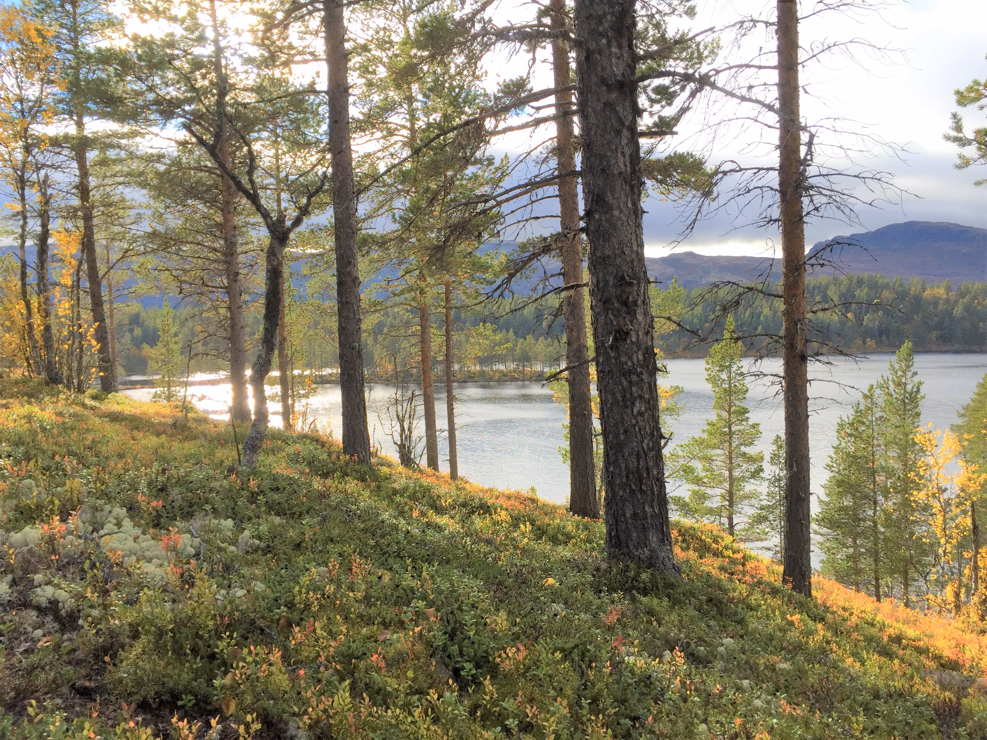 Solskinnsmarka Tunhovdfjorden