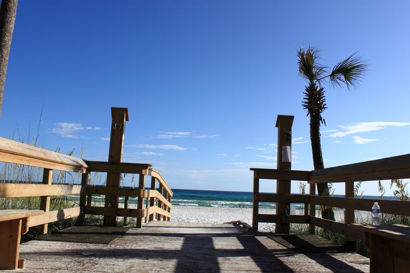 A quiet boardwalk and palm-lined BigStuf property in 2010