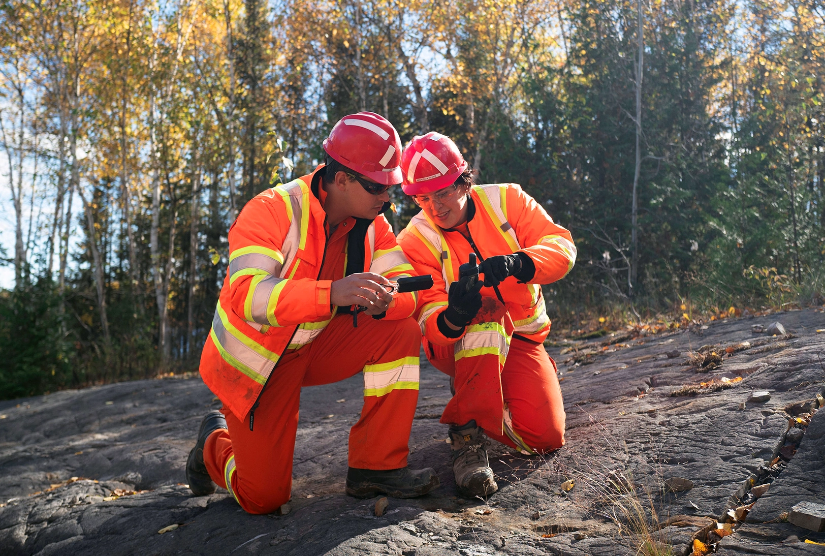 Colleagues collaborating in the field.