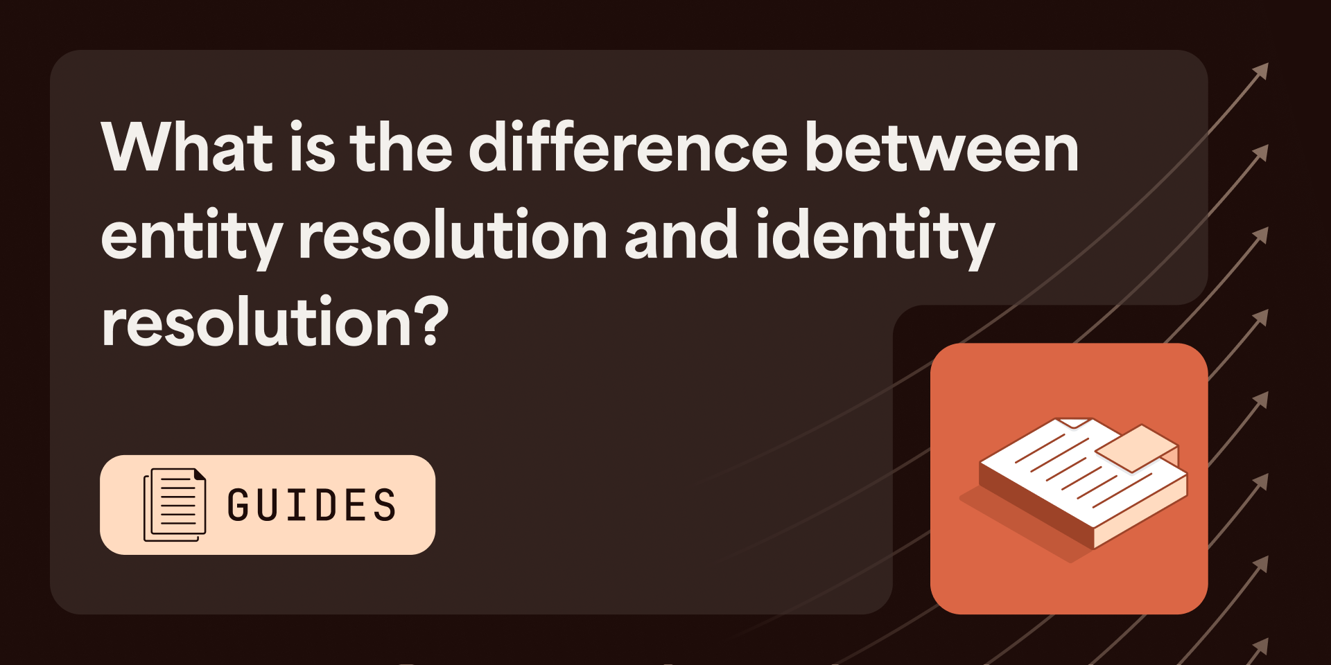 What is the difference between entity resolution and identity resolution?