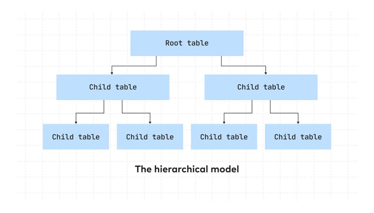 The structure of a hierarchical database schema