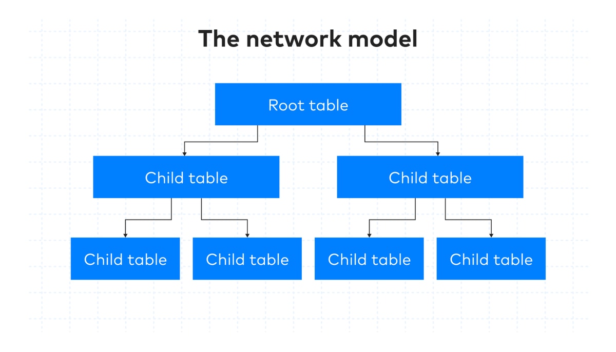 The model of a network database schema