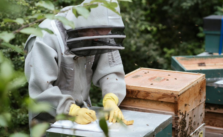tips for growth in your pest control business