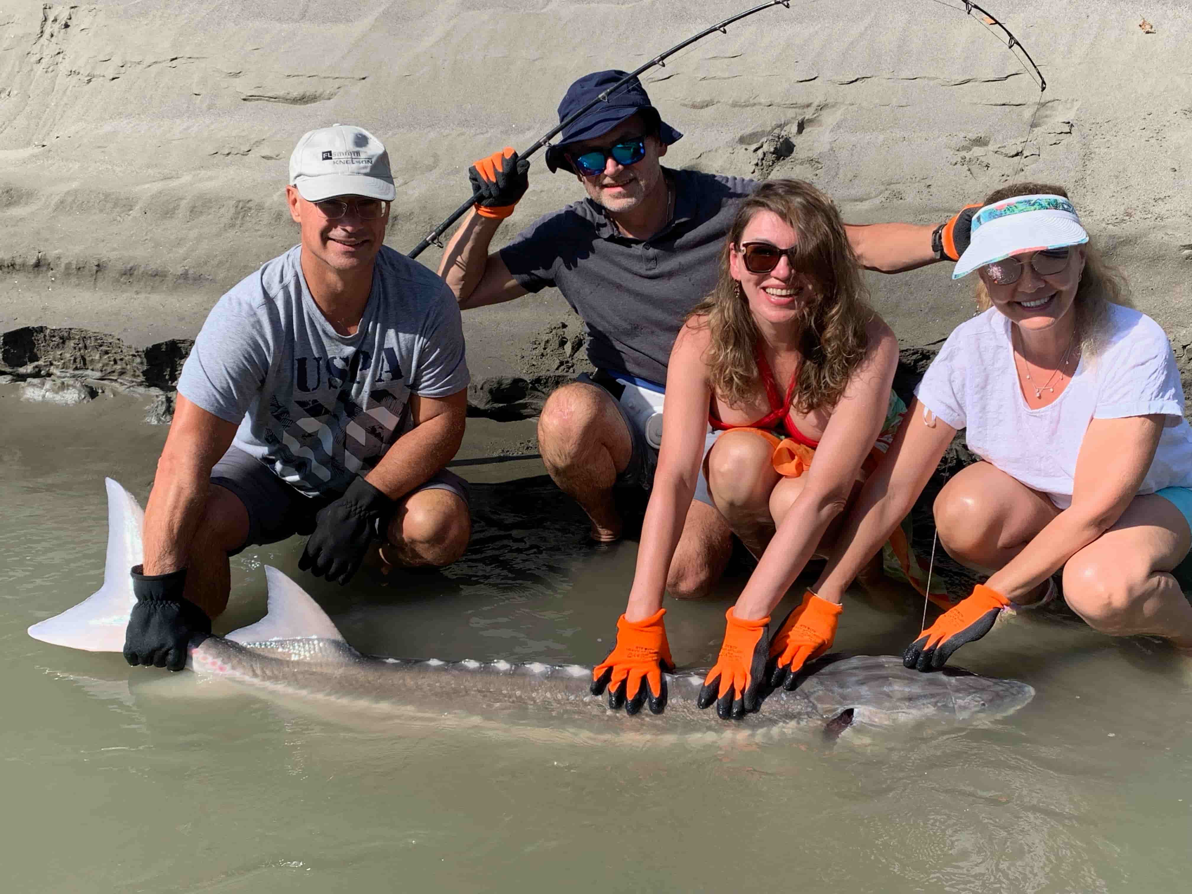 A sturgeon on the Fraser River Canyon 