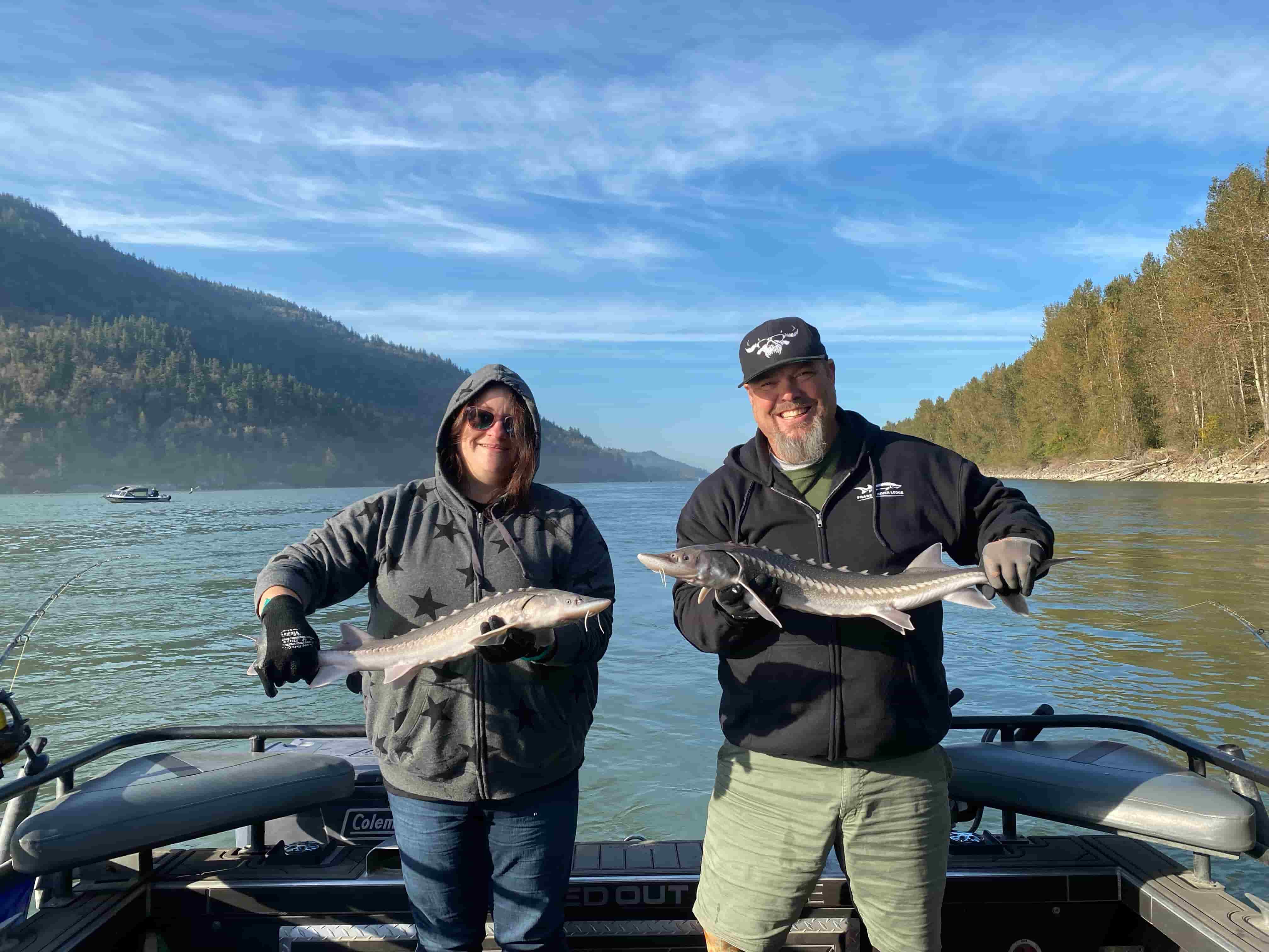 Two baby sturgeons on the Fraser Canyon