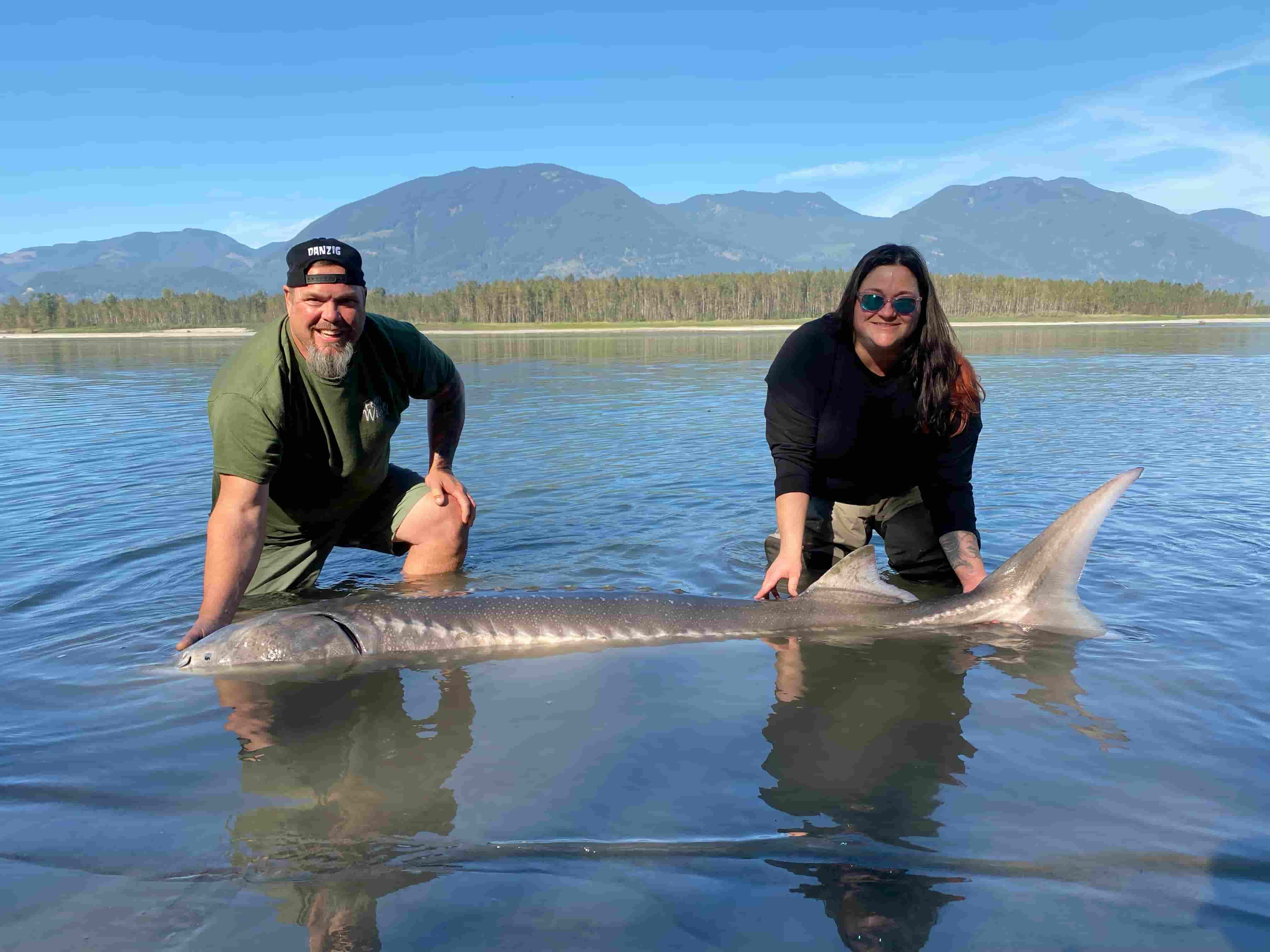A large sturgeon on the Fraser Canyon River