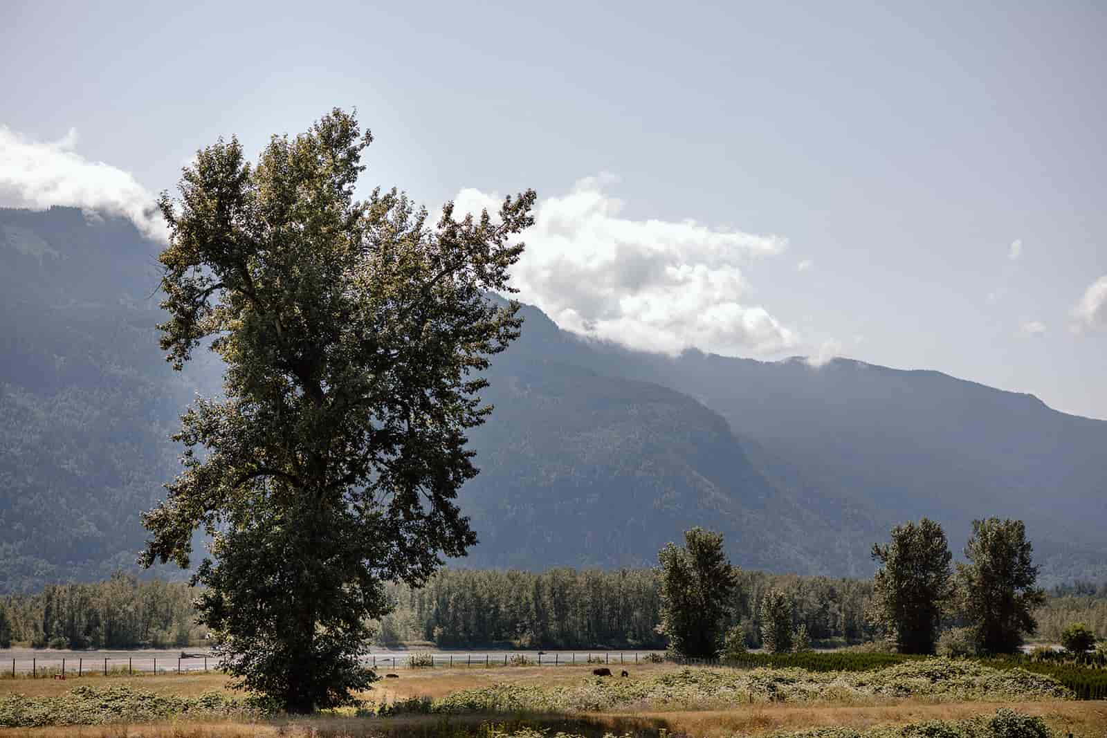 The mountains outside of the Fraser River Lodge