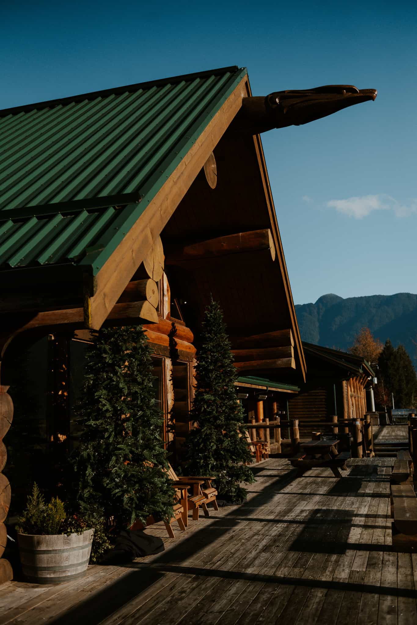 Christmas trees on the deck in front of the lounge at the Fraser River Lodge