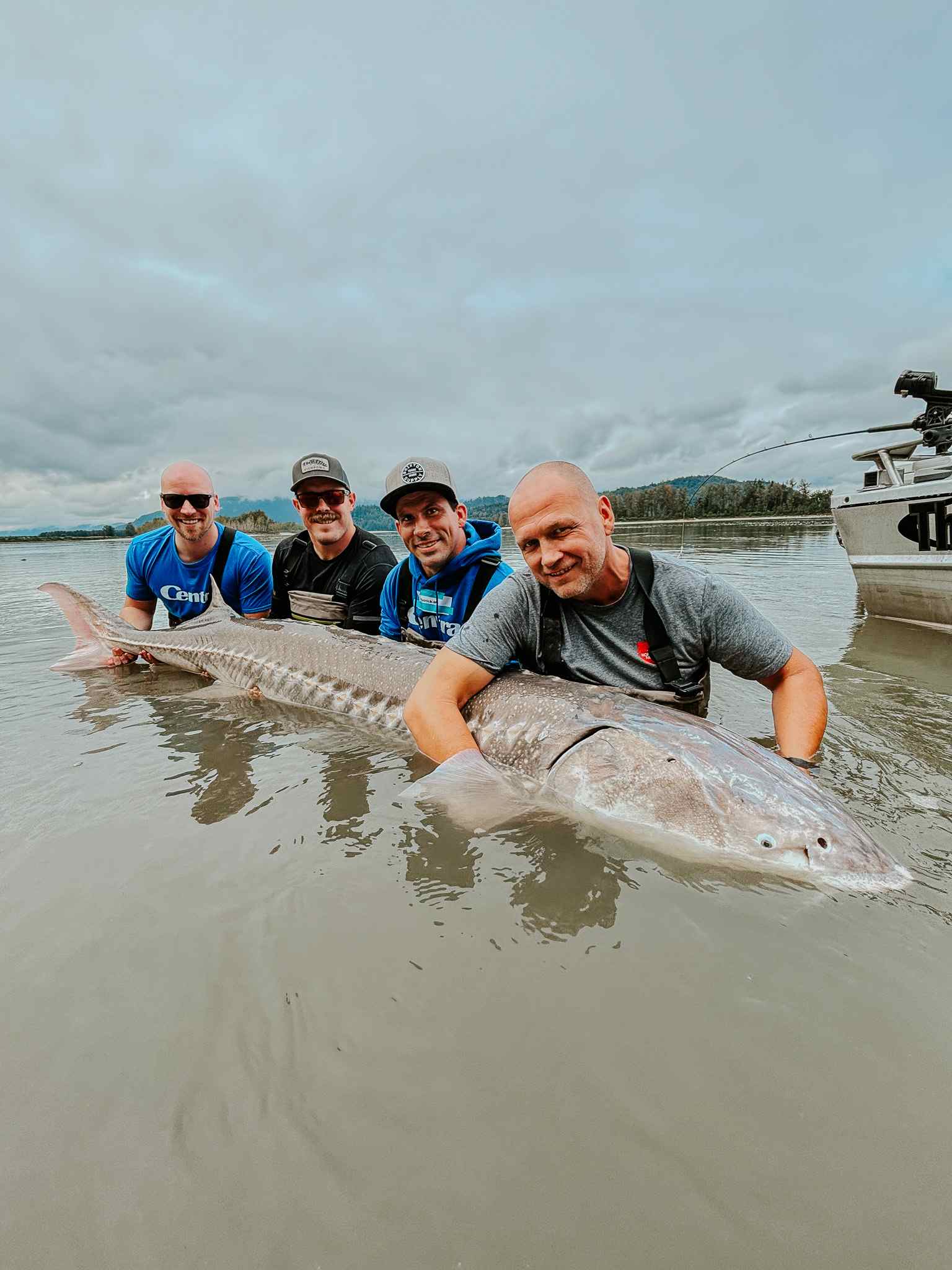Four anglers pose in the river shallows with a giant sturgeon, with hills and a cloudy sky in the distance.