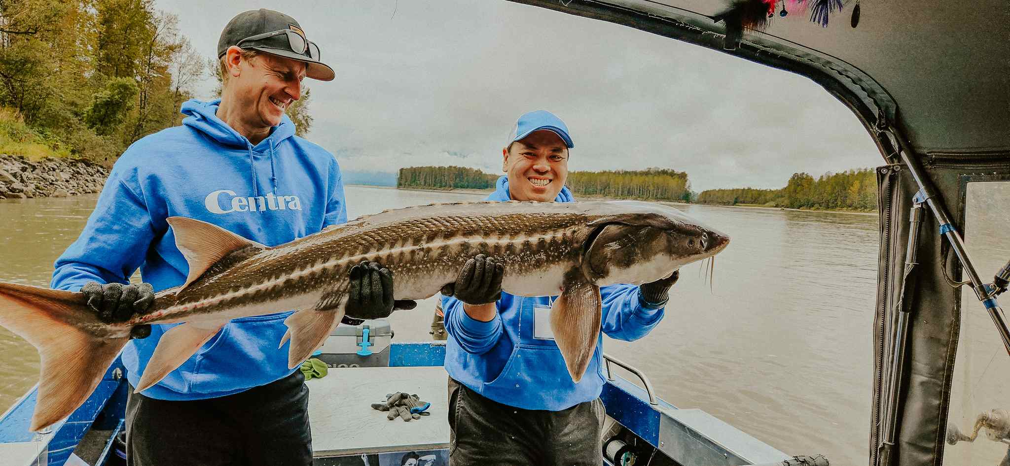 Two anglers smile as they hold a large sturgeon across the deck of a jet boat on the Fraser River.