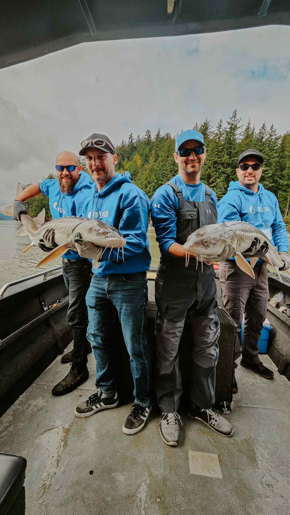 Four anglers stand on a boat deck holding two sturgeon, with evergreen trees and a cloudy sky behind them.